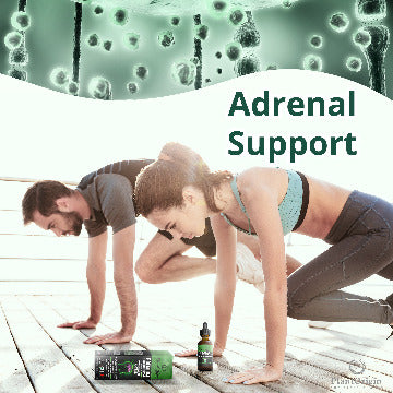 PLANTORIGIN Premium Brain Supplement Drops Memory Focus & Adrenal | Ashwagandha Ginseng & Ginkgo Biloba| USDA Organic Vegan & Non GMO | Gluten Free 30 Servings 2 OZ